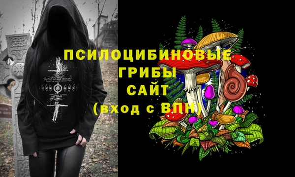 марки lsd Карпинск